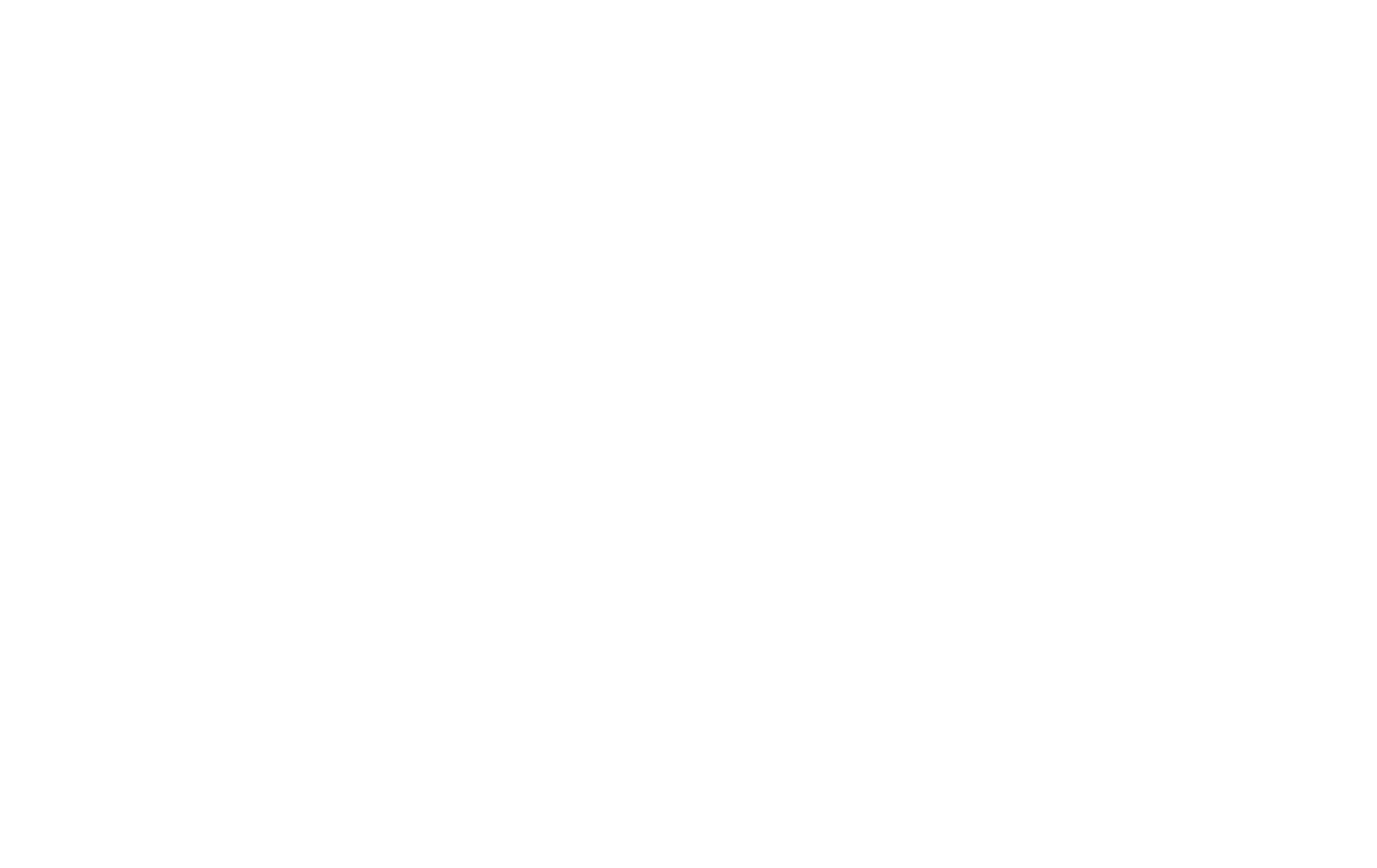 Logo DEI - Bianco